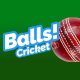 Balls! Virtual Reality Cricket