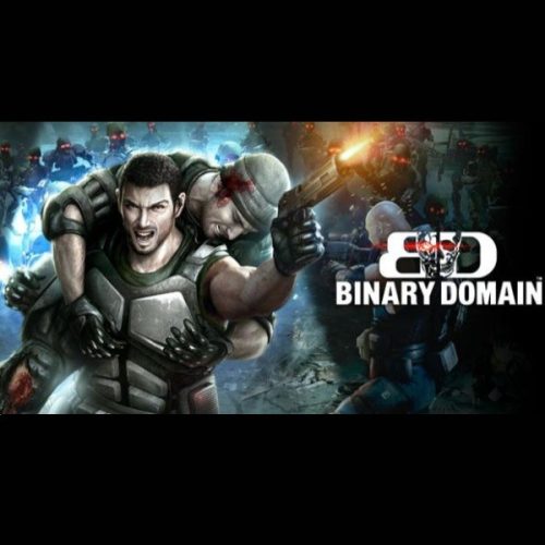 Binary Domain