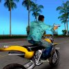 Grand Theft Auto: Vice City