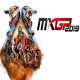 MXGP 2019: The Official Motocross Videogame