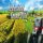Professional Farmer 2017