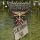 Panzer Corps: U.S. Corps '43