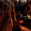 Chamber 19