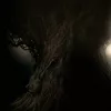 Darkwood