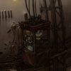 Primordia