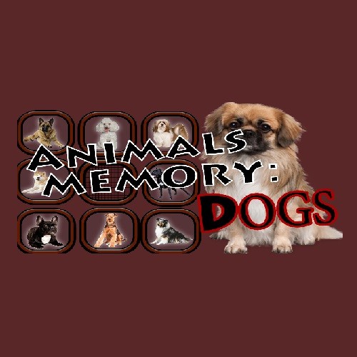 Animals Memory: Dogs