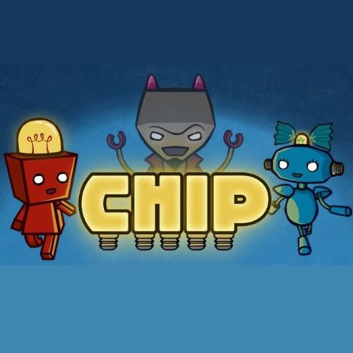Chip