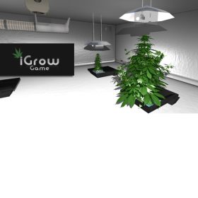iGrow Game