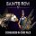 Saints Row IV - Commander in Chief (DLC)