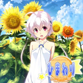 Himawari - The Sunflower Himawari - The Sunflower