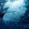 Abzu (EU)