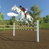My Little Riding Champion (EU)