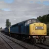 Train Sim World 2: BR Heavy Freight Pack Loco Add-On (DLC)