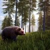 Hunting Simulator 2: Bear Hunter Pack (DLC)