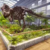 Dinosaur Fossil Hunter