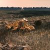 Steel Division 2: Tribute to Normandy '44 (DLC)
