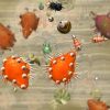 Spore (EU)