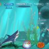 Shark! Shark!