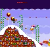 Zool Redimensioned