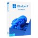 Windows 11 Pro (Retail)
